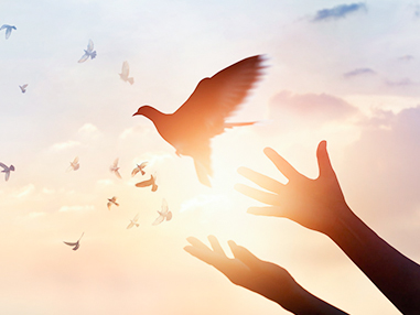 遠(yuǎn)大美業(yè)·情暖重陽(yáng)｜慈孝公益，善的種子，生根萌發(fā)……